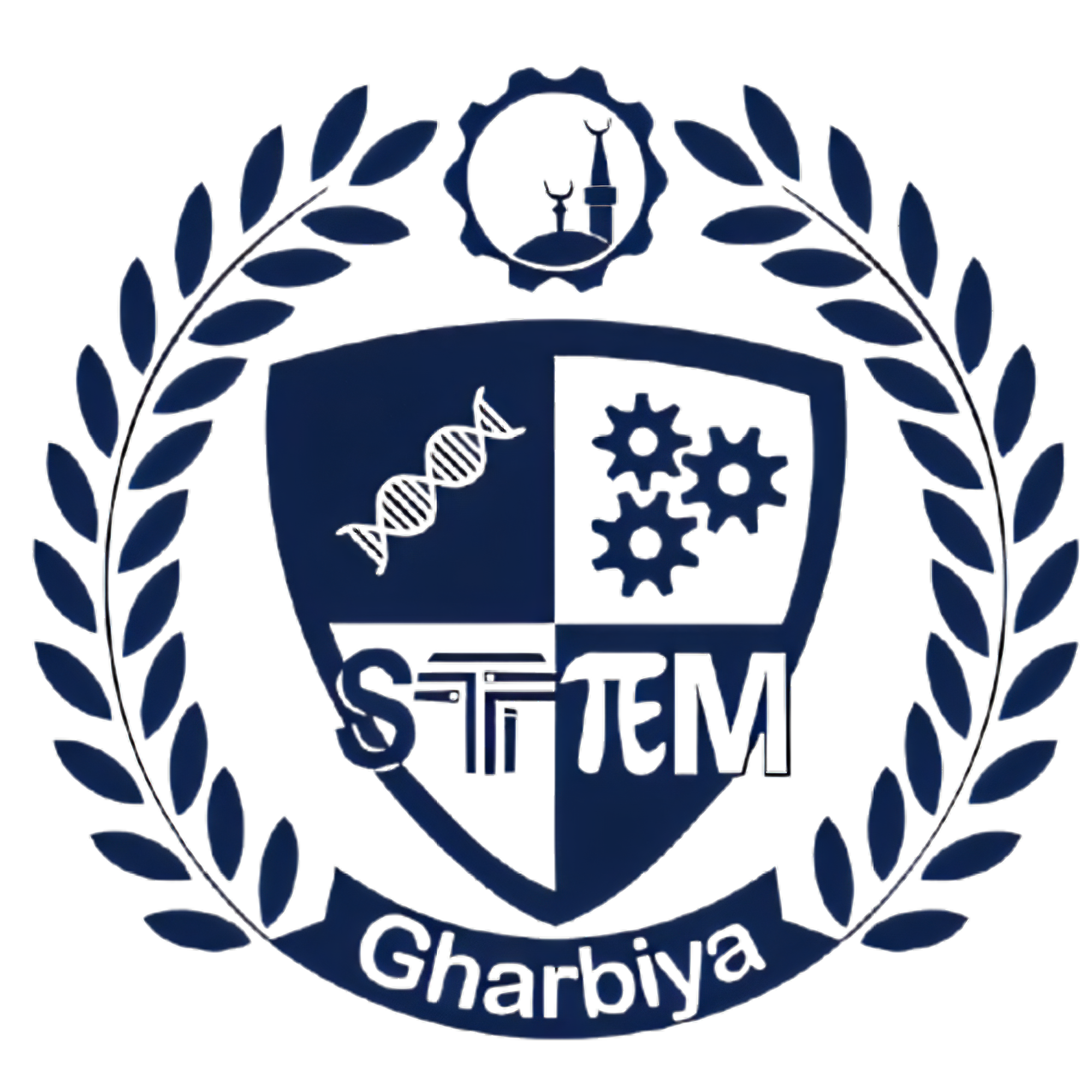Gharbia STEM